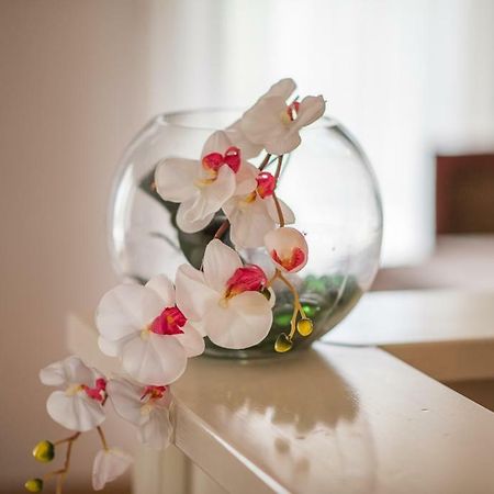 Beljan Apartments Кърк Екстериор снимка